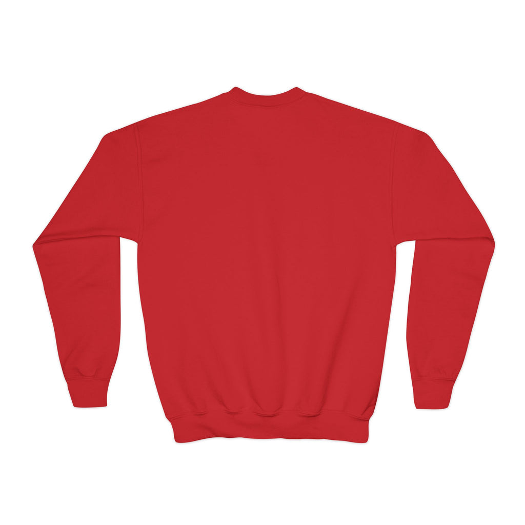Lake Mohawk Map Youth Crewneck - Shop Lake Mohawk