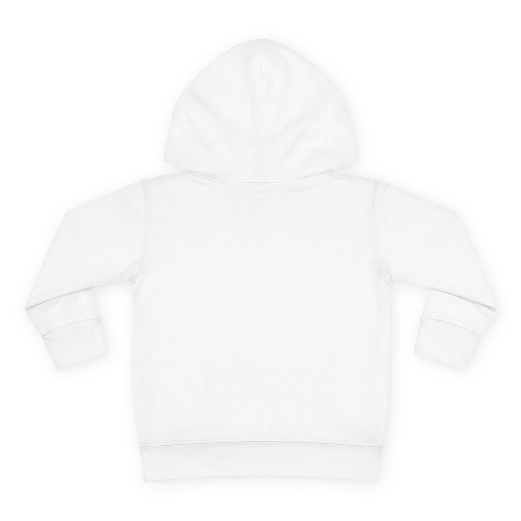 Lake Mohawk Toddler Hoodie