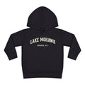 Lake Mohawk Toddler Hoodie
