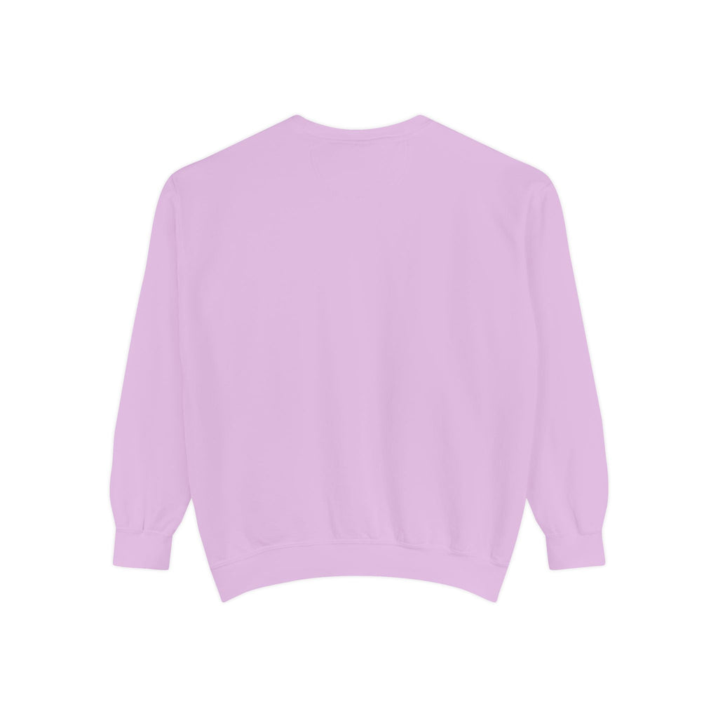Lake Mohawk Pontoon Crewneck - Shop Lake Mohawk