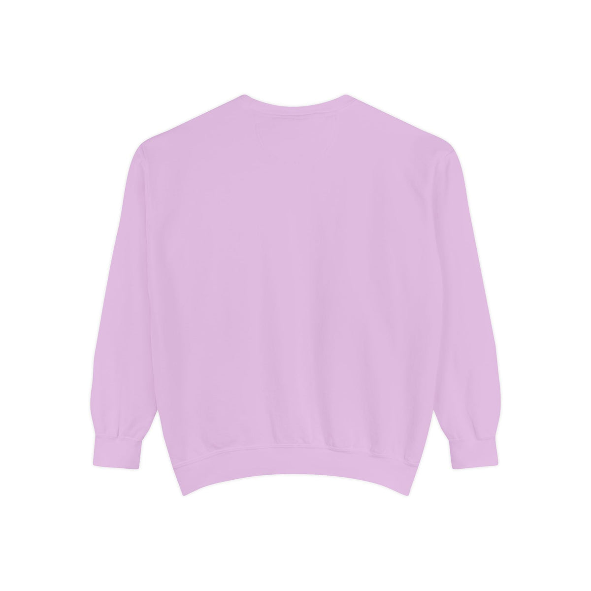 Lake Mohawk Pontoon Crewneck - Shop Lake Mohawk