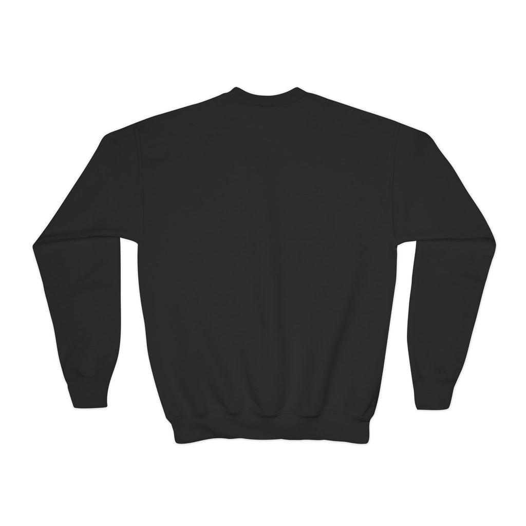 Lake Mohawk Sparta Youth Crewneck - Shop Lake Mohawk