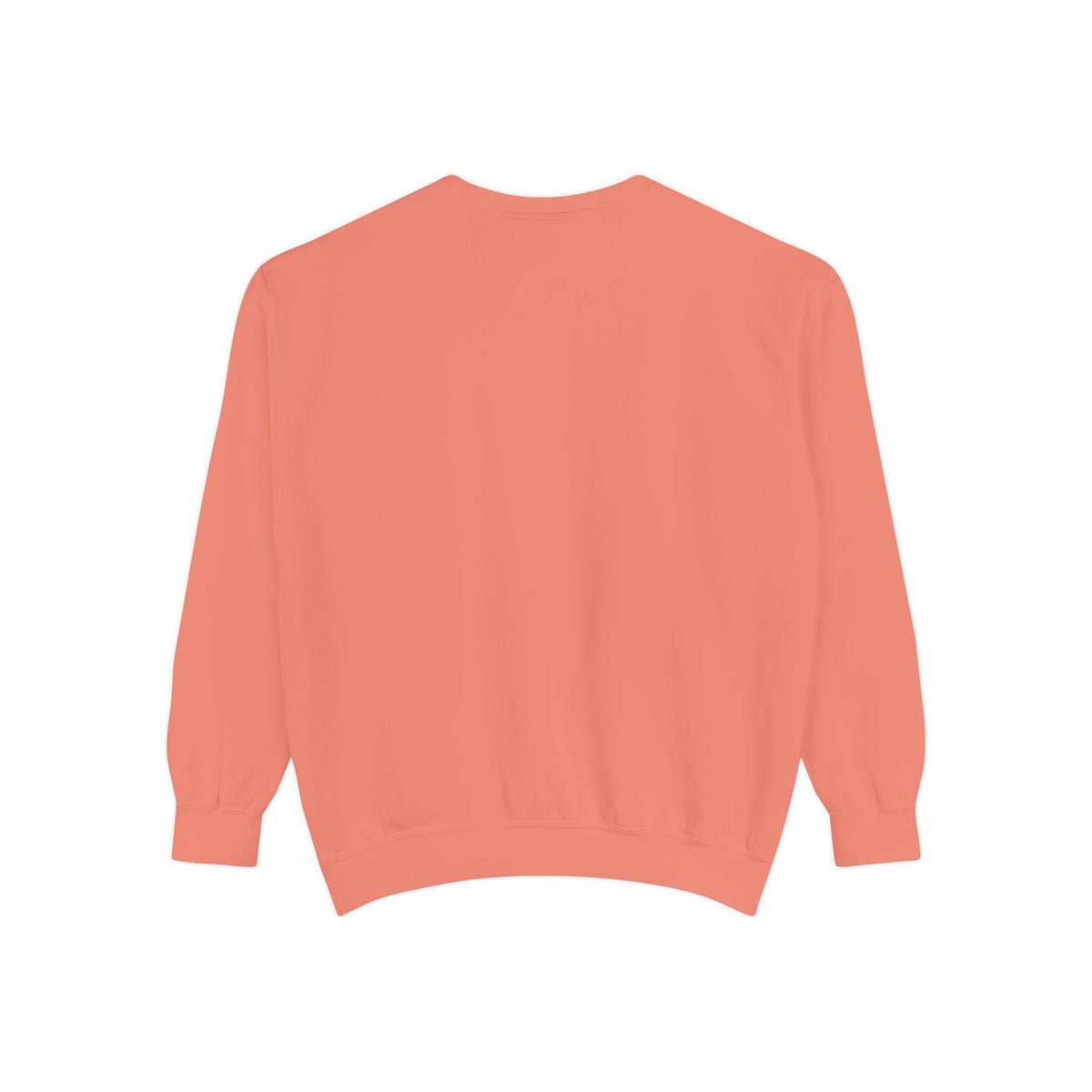Lake Mohawk Pontoon Crewneck - Shop Lake Mohawk