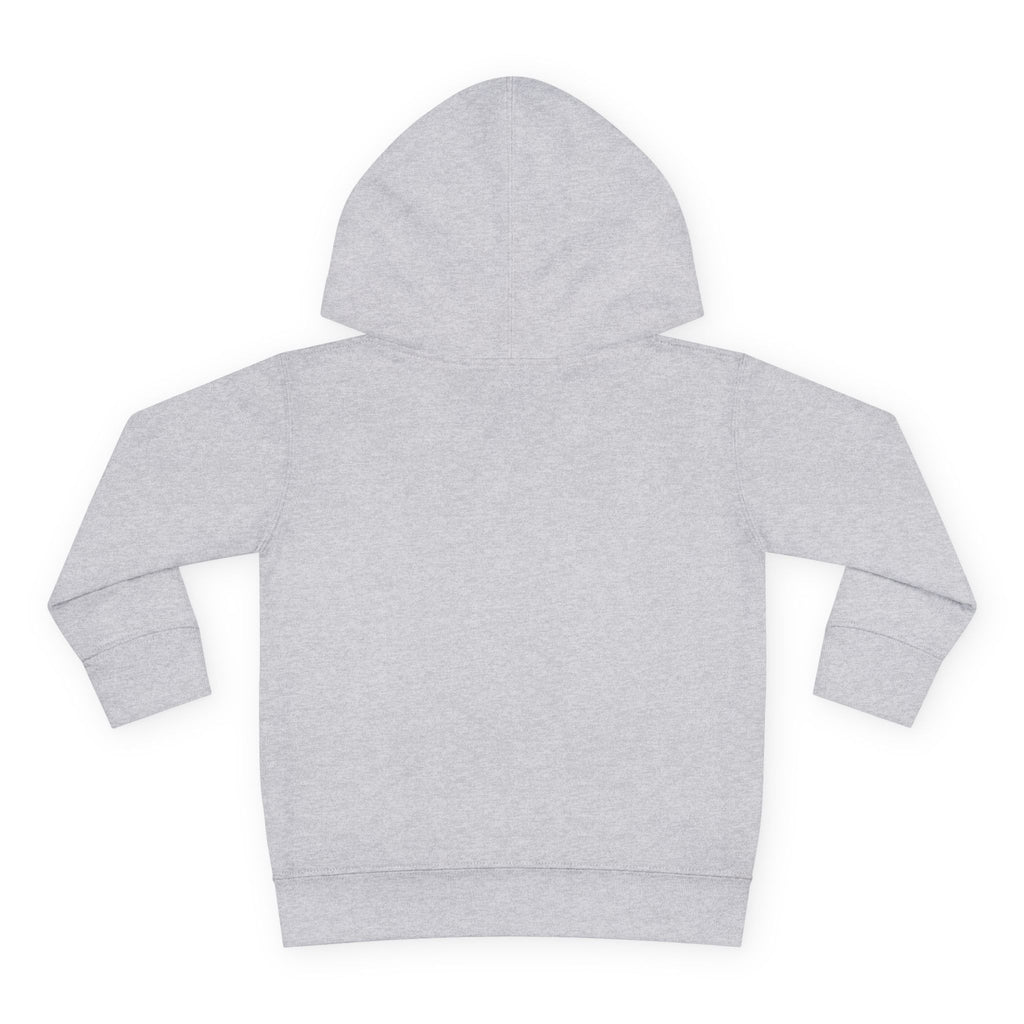 Lake Mohawk Toddler Hoodie