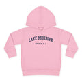 Lake Mohawk Toddler Hoodie