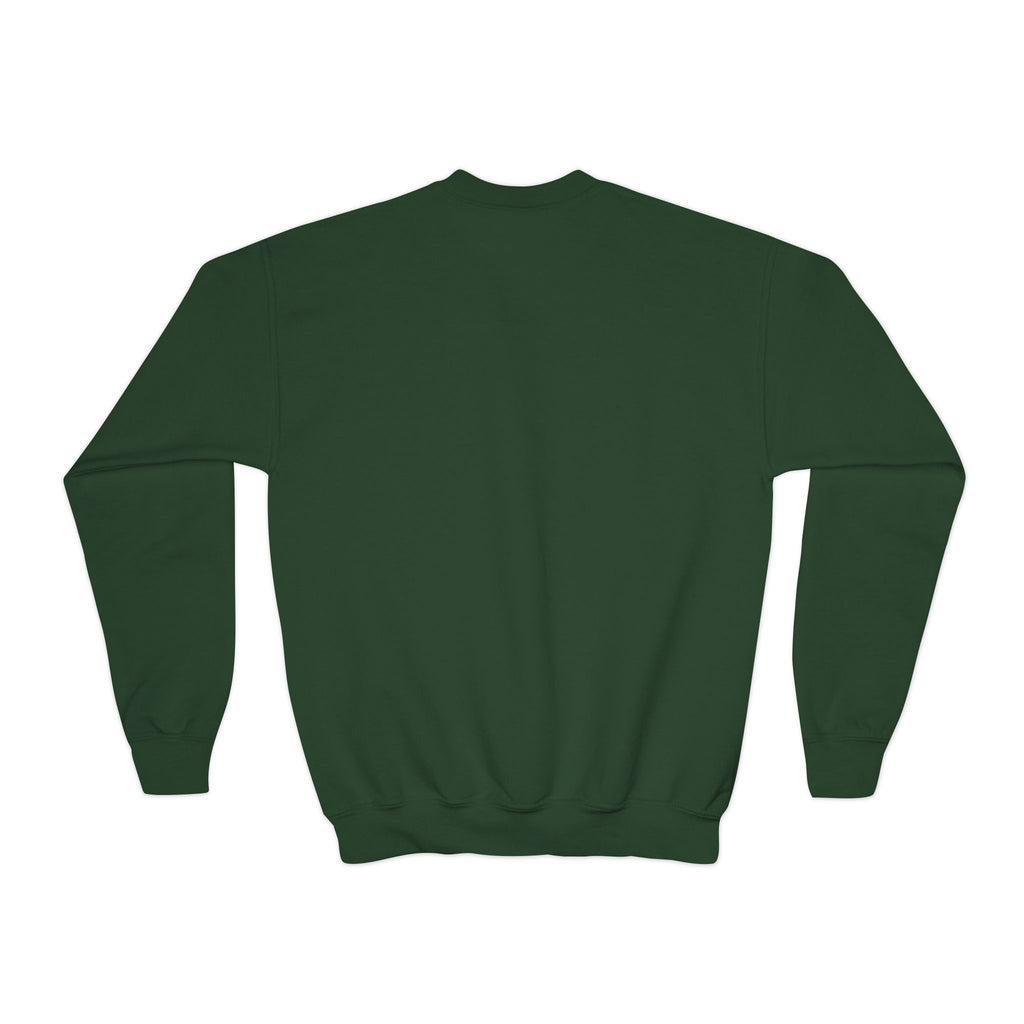 Lake Mohawk Sparta Youth Crewneck - Shop Lake Mohawk