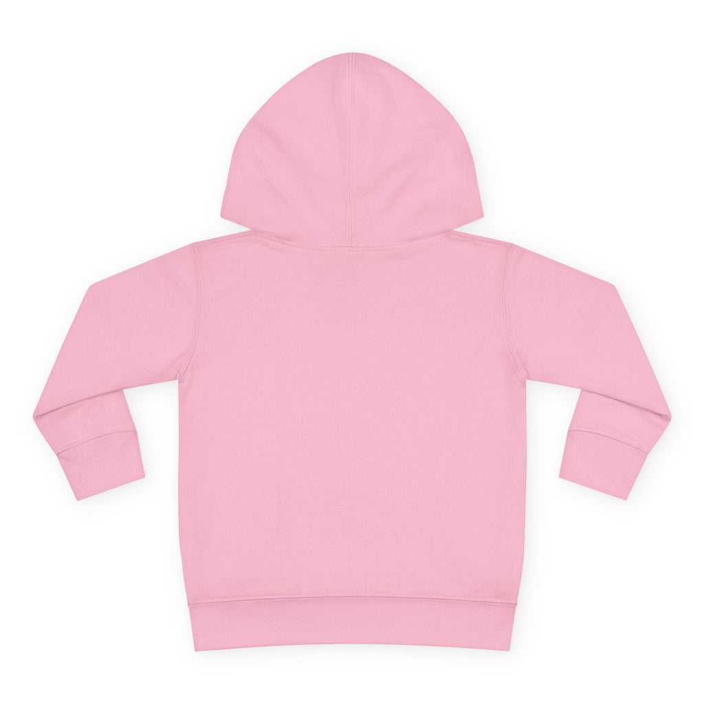 Lake Mohawk Toddler Hoodie