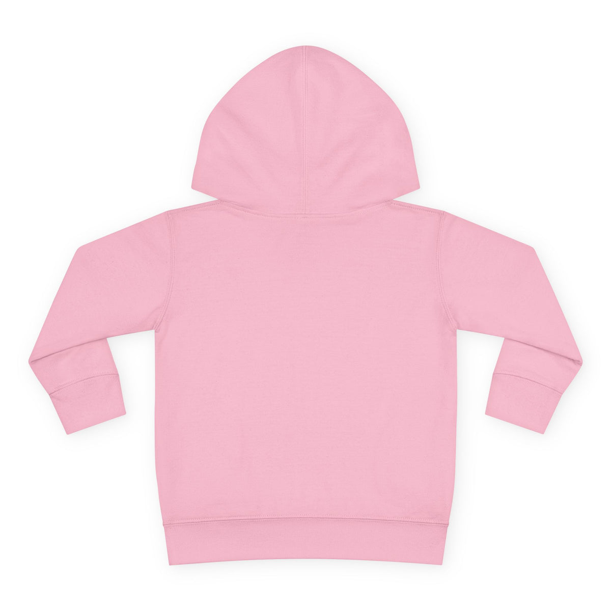Lake Mohawk Toddler Hoodie